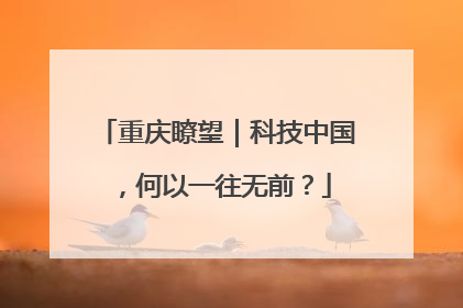 重庆瞭望｜科技中国，何以一往无前？