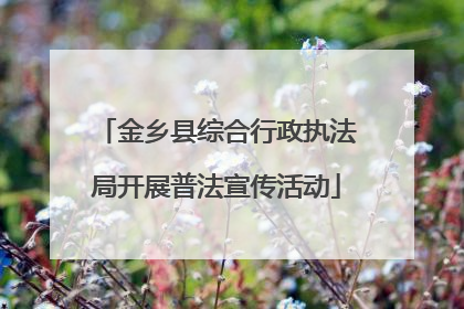 金乡县综合行政执法局开展普法宣传活动