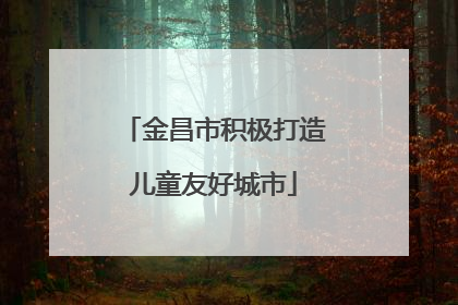 金昌市积极打造儿童友好城市