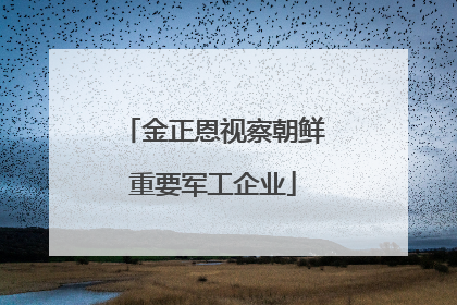 金正恩视察朝鲜重要军工企业
