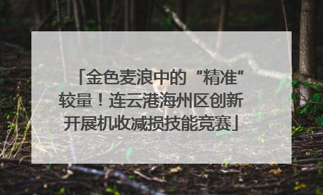 金色麦浪中的“精准”较量！连云港海州区创新开展机收减损技能竞赛