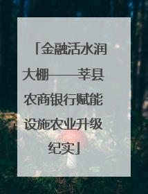 金融活水润大棚——莘县农商银行赋能设施农业升级纪实
