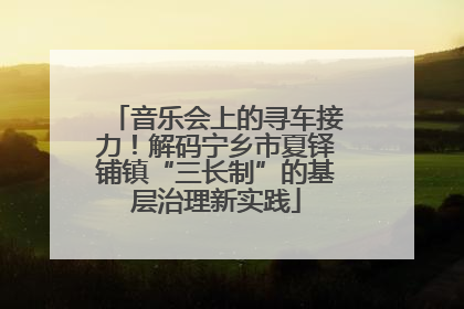 音乐会上的寻车接力！解码宁乡市夏铎铺镇“三长制”的基层治理新实践