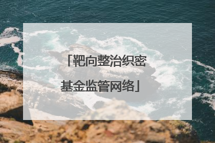靶向整治织密基金监管网络