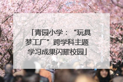 青园小学：“玩具梦工厂”跨学科主题学习成果闪耀校园
