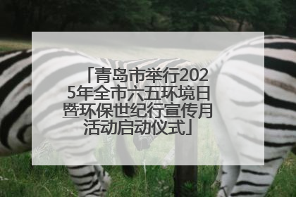 青岛市举行2025年全市六五环境日暨环保世纪行宣传月活动启动仪式