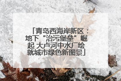 青岛西海岸新区：地下“治污堡垒”崛起 大卢河中水厂绘就城市绿色新图景