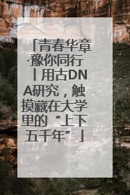 青春华章·豫你同行丨用古DNA研究，触摸藏在大学里的“上下五千年”