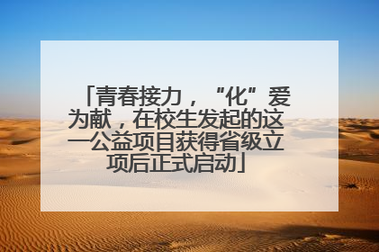 青春接力，“化”爱为献，在校生发起的这一公益项目获得省级立项后正式启动