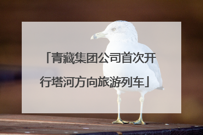 青藏集团公司首次开行塔河方向旅游列车