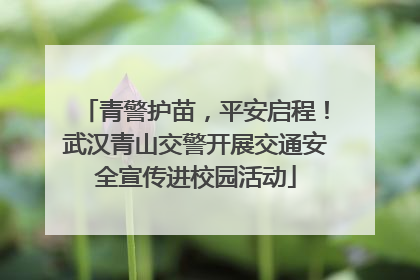 青警护苗，平安启程！武汉青山交警开展交通安全宣传进校园活动