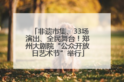 非遗市集、33场演出、全民舞台！郑州大剧院“公众开放日艺术节”举行