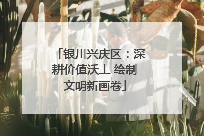 银川兴庆区：深耕价值沃土 绘制文明新画卷