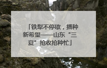铁犁不停歇，播种新希望——山东“三夏”抢收抢种忙