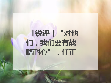 锐评｜“对他们，我们要有战略耐心”，任正非给谁提了醒