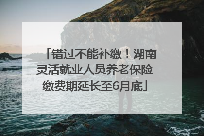 错过不能补缴！湖南灵活就业人员养老保险缴费期延长至6月底