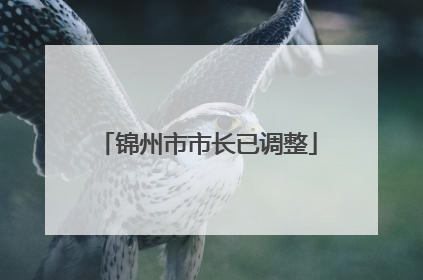 锦州市市长已调整