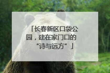 长春新区口袋公园，建在家门口的“诗与远方”