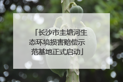 长沙市圭塘河生态环境损害赔偿示范基地正式启动