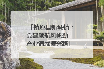 镇原县新城镇：党建领航风帆劲 产业铺就振兴路