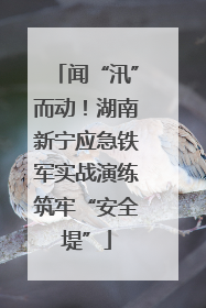 闻“汛”而动！湖南新宁应急铁军实战演练筑牢“安全堤”