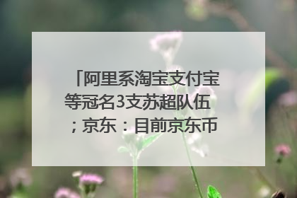阿里系淘宝支付宝等冠名3支苏超队伍；京东：目前京东币链科技并没有开始发行稳定币｜早资道