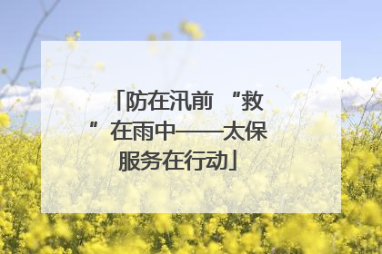 防在汛前 “救”在雨中——太保服务在行动