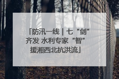 防汛一线｜七“剑”齐发 水利专家“智”援湘西北抗洪流