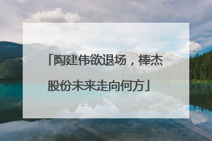 陶建伟欲退场，棒杰股份未来走向何方