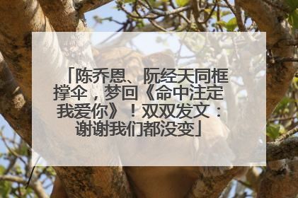 陈乔恩、阮经天同框撑伞，梦回《命中注定我爱你》！双双发文：谢谢我们都没变