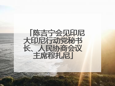 陈吉宁会见印尼大印尼行动党秘书长、人民协商会议主席穆扎尼