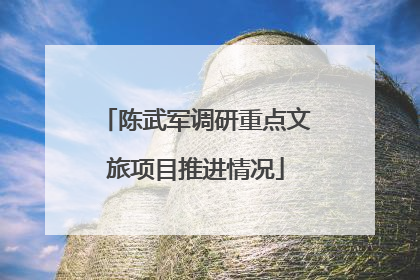 陈武军调研重点文旅项目推进情况