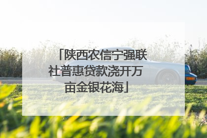 陕西农信宁强联社普惠贷款浇开万亩金银花海