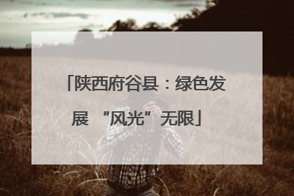 陕西府谷县：绿色发展 “风光”无限