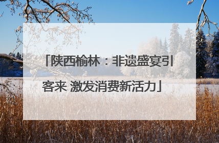 陕西榆林：非遗盛宴引客来 激发消费新活力