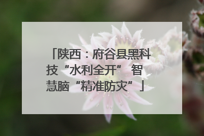陕西：府谷县黑科技“水利全开” 智慧脑“精准防灾”