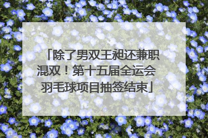 除了男双王昶还兼职混双！第十五届全运会羽毛球项目抽签结束