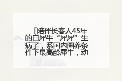 陪伴长春人45年的白犀牛“犀犀”生病了，系国内圈养条件下最高龄犀牛，动物园：它虽患病但未处于弥留之际