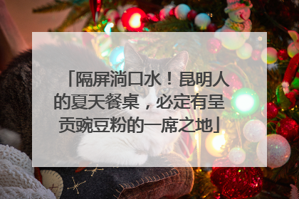 隔屏淌口水！昆明人的夏天餐桌，必定有呈贡豌豆粉的一席之地
