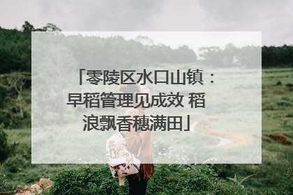 零陵区水口山镇：早稻管理见成效 稻浪飘香穗满田