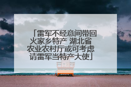 雷军不经意间带回火家乡特产 湖北省农业农村厅或可考虑请雷军当特产大使