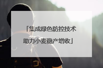 集成绿色防控技术助力小麦稳产增收