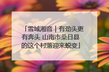 雪域湘音｜有劲头更有奔头 山南市桑日县的这个村落迎来蜕变