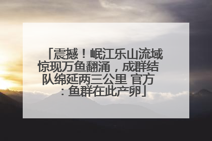 震撼！岷江乐山流域惊现万鱼翻涌，成群结队绵延两三公里 官方：鱼群在此产卵