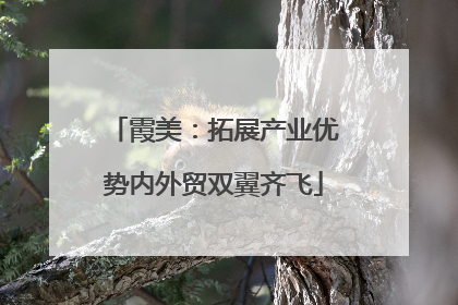 霞美：拓展产业优势内外贸双翼齐飞