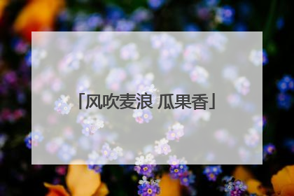 风吹麦浪 瓜果香