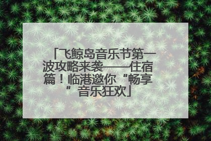 飞鲸岛音乐节第一波攻略来袭——住宿篇！临港邀你“畅享”音乐狂欢