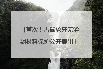 首次！古蜀象牙无灌封材料保护公开展出