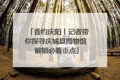 香约庆阳丨记者带你探寻庆城县博物馆 解锁必看重点