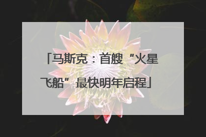 马斯克：首艘“火星飞船”最快明年启程